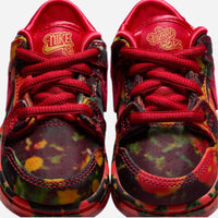 Wizard of Oz x Nike SB Dunk Low (TD) “No Place Like Home”