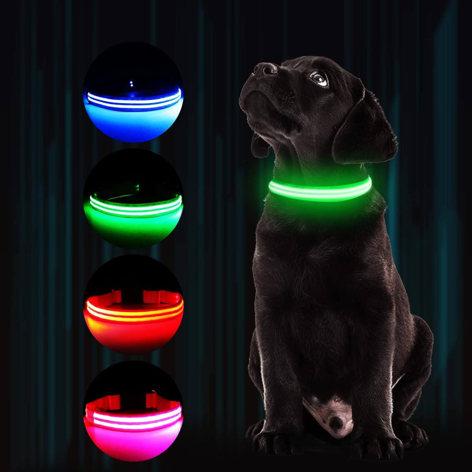 Light up Dog Collars