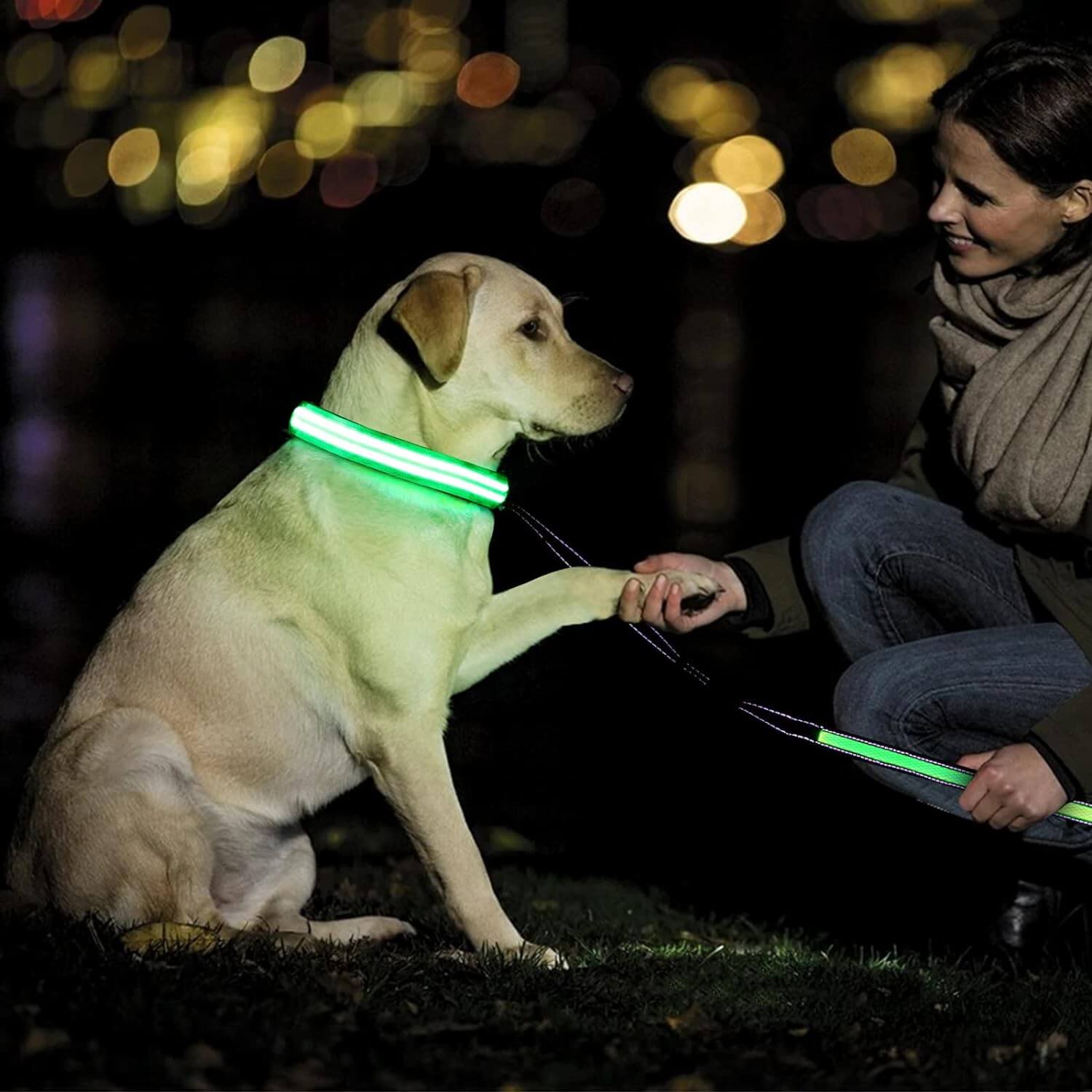 Light up Dog Collars