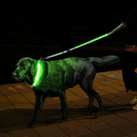 Light up Dog Collars