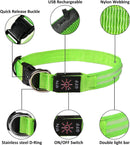 Light up Dog Collars