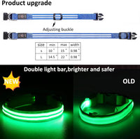 Light up Dog Collars